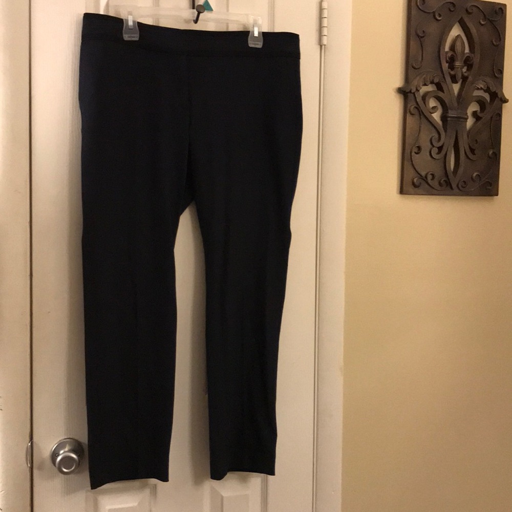 Ann Taylor Petite Dress Pants
